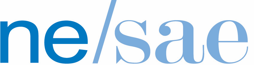 NESAE Knowledge Hub Logo